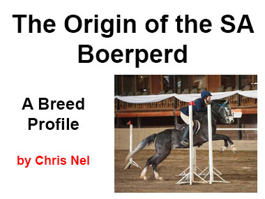 The Origin of the SA Boerperd