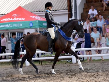 Bakgat Rubertelli - Universal Champion 3 Gaited Riding Horse<br>
Rider: Monica Viljoen<br>
Owner: Trudie Viljoen
