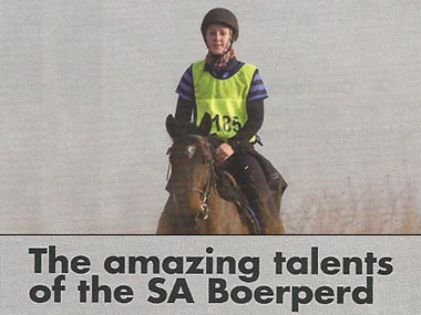 The Amazing Talents of the SA Boerperd
